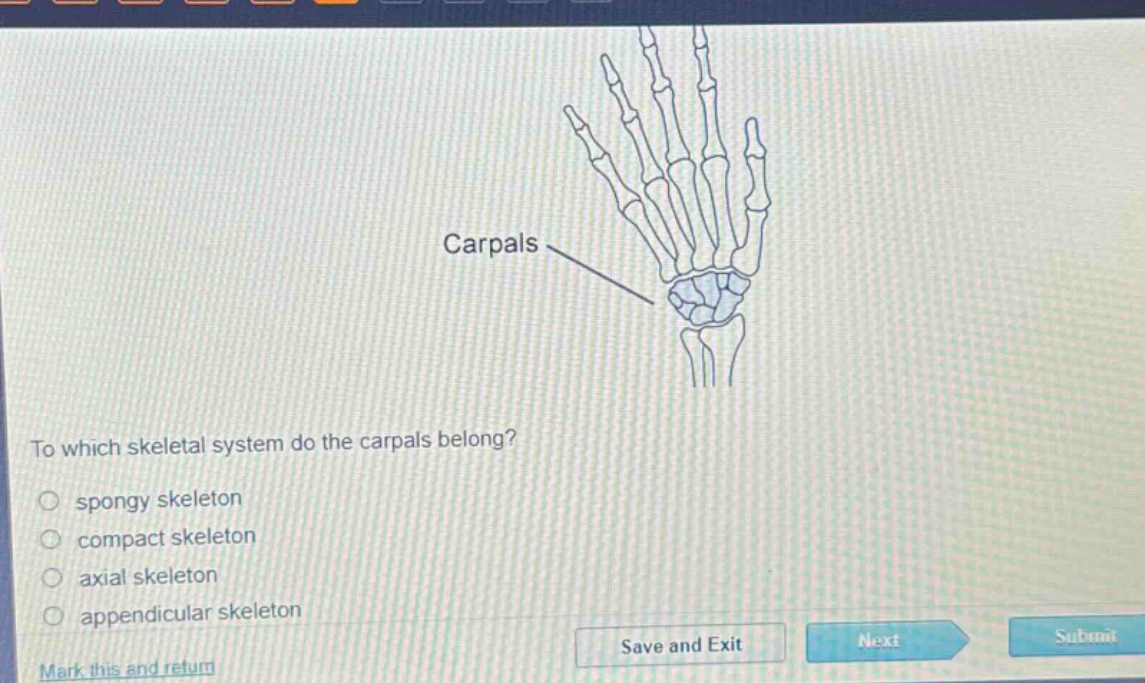 to which skeletal system do the carpals belong?\nspongy skeleton\ncompact skeleton\naxial skeleton\nappendicular skeleton