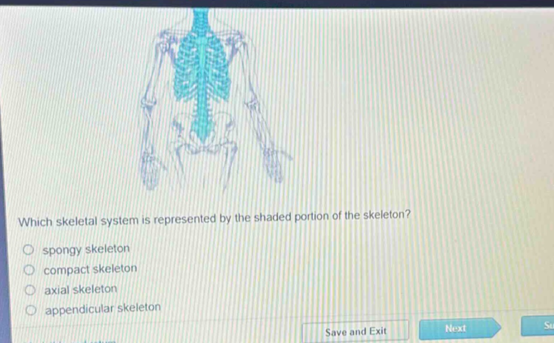 which skeletal system is represented by the shaded portion of the skeleton?\nspongy skeleton\ncompact skeleton\naxial skeleton\nappendicular skeleton