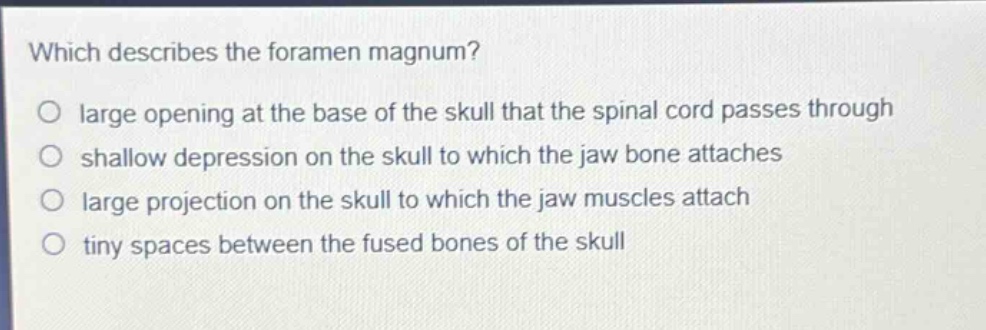 which describes the foramen magnum?\no large opening at the base of the skull that the spinal cord passes through\no shallow depression on the skull to which the jaw bone attaches\no large projection on the skull to which the jaw muscles attach\no tiny spaces between the fused bones of the skull