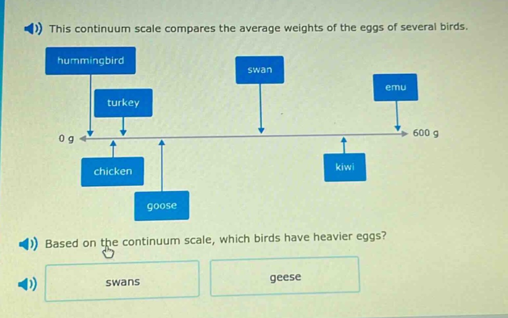 this continuum scale compares the average weights of the eggs of several birds. based on the continuum scale, which birds have heavier eggs? swans geese