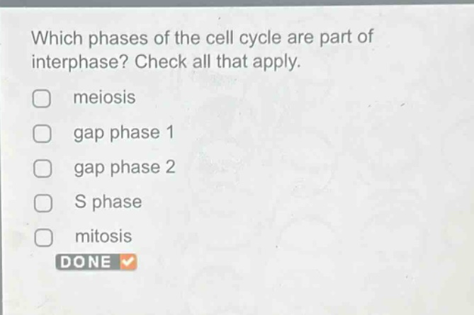 which phases of the cell cycle are part of interphase? check all that apply. meiosis gap phase 1 gap phase 2 s phase mitosis done