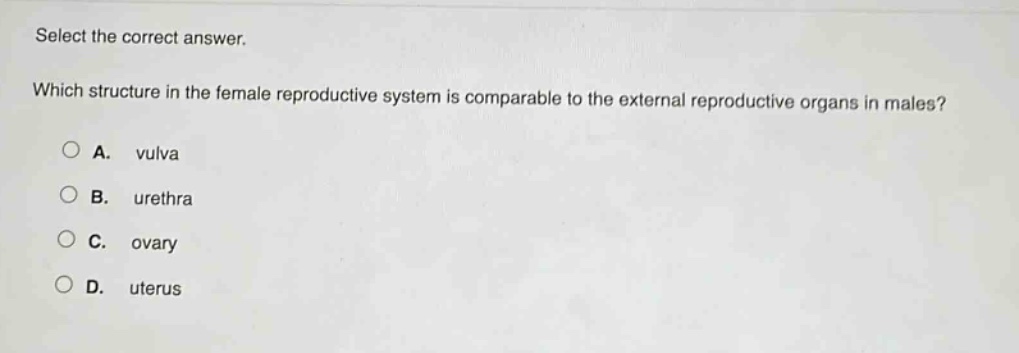 select the correct answer. which structure in the female reproductive system is comparable to the external reproductive organs in males? a. vulva b. urethra c. ovary d. uterus