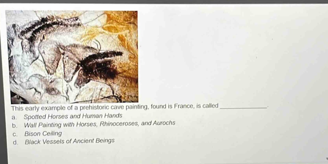 this early example of a prehistoric cave painting, found is france, is called ____________. a. spotted horses and human hands b. wall painting with horses, rhinoceroses, and aurochs c. bison ceiling d. black vessels of ancient beings