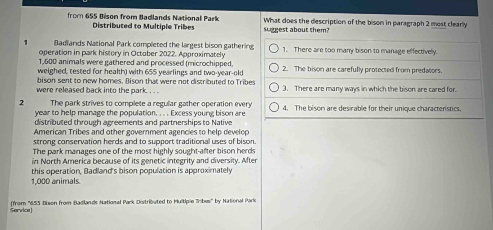 from 655 bison from badlands national park distributed to multiple tribes\n1 badlands national park completed the largest bison gathering operation in park history in october 2022. approximately 1,600 animals were gathered and processed (microchipped, weighed, tested for health) with 655 yearlings and two - year - old bison sent to new homes. bison that were not distributed to tribes were released back into the park....\n2 the park strives to complete a regular gather operation every year to help manage the population.... excess young bison are distributed through agreements and partnerships to native american tribes and other government agencies to help develop strong conservation herds and to support traditional uses of bison. the park manages one of the most highly sought - after bison herds in north america because of its genetic integrity and diversity. after this operation, badlands bison population is approximately 1,000 animals.\n(from \655 bison from badlands national park distributed to multiple tribes\ by national park service)\nwhat does the description of the bison in paragraph 2 most clearly suggest about them?\n1. there are too many bison to manage effectively.\n2. the bison are carefully protected from predators.\n3. there are many ways in which the bison are cared for.\n4. the bison are desirable for their unique characteristics.
