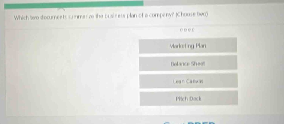 which two documents summarize the business plan of a company? (choose two) marketing plan balance sheet lean canvas pitch deck