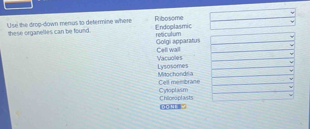 use the drop - down menus to determine where these organelles can be found. ribosome endoplasmic reticulum golgi apparatus cell wall vacuoles lysosomes mitochondria cell membrane cytoplasm chloroplasts done