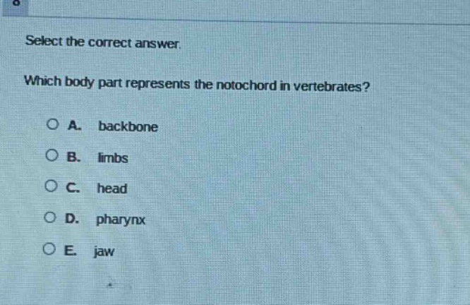 select the correct answer. which body part represents the notochord in vertebrates? a. backbone b. limbs c. head d. pharynx e. jaw