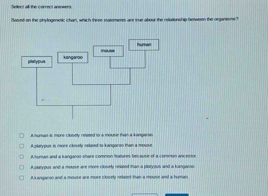 select all the correct answers. based on the phylogenetic chart, which three statements are true about the relationship between the organisms? a human is more closely related to a mouse than a kangaroo. a platypus is more closely related to kangaroo than a mouse. a human and a kangaroo share common features because of a common ancestor. a platypus and a mouse are more closely related than a platypus and a kangaroo. a kangaroo and a mouse are more closely related than a mouse and a human.