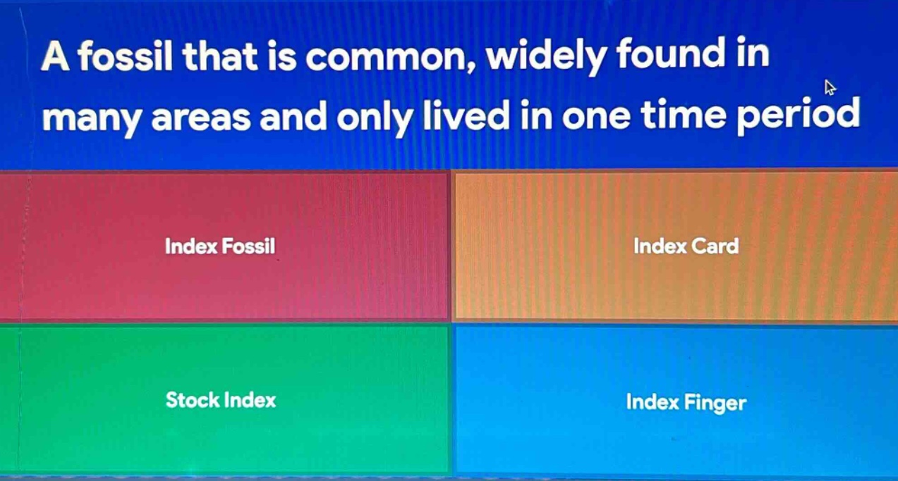 a fossil that is common, widely found in many areas and only lived in one time period\nindex fossil\nindex card\nstock index\nindex finger