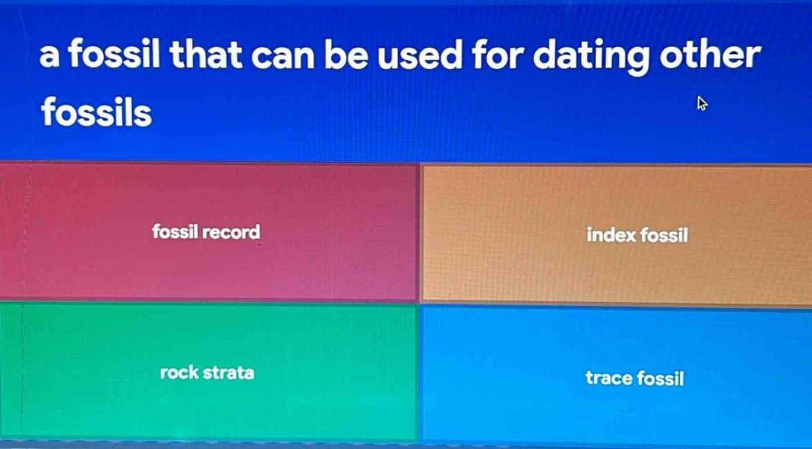 a fossil that can be used for dating other fossils fossil record index fossil rock strata trace fossil