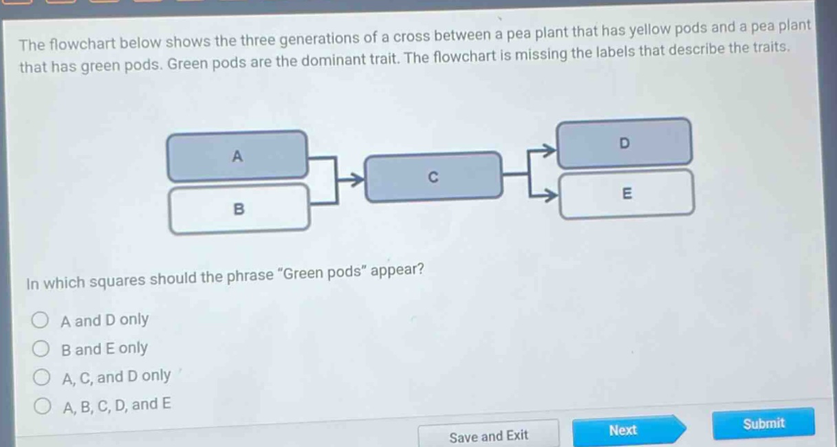 the flowchart below shows the three generations of a cross between a pea plant that has yellow pods and a pea plant that has green pods. green pods are the dominant trait. the flowchart is missing the labels that describe the traits. in which squares should the phrase “green pods” appear? a and d only b and e only a, c, and d only a, b, c, d, and e