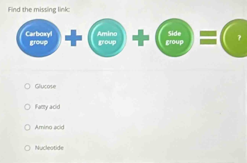 find the missing link: carboxyl group + amino group + side group =? glucose fatty acid amino acid nucleotide
