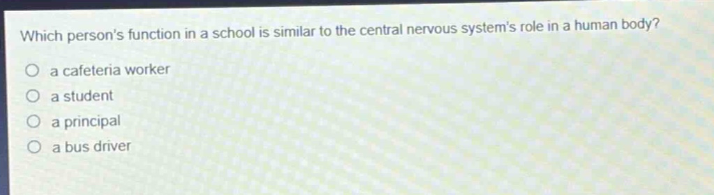 which persons function in a school is similar to the central nervous systems role in a human body?\n a cafeteria worker\n a student\n a principal\n a bus driver