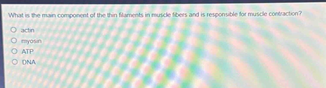 what is the main component of the thin filaments in muscle fibers and is responsible for muscle contraction?\nactin\nmyosin\natp\ndna
