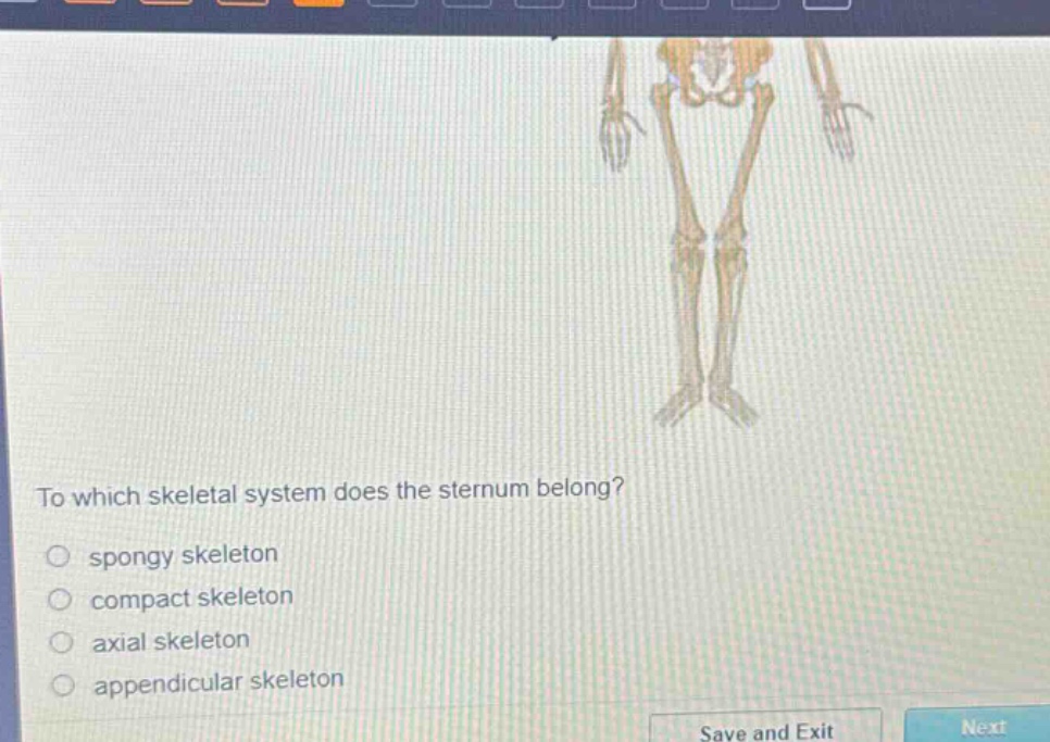 to which skeletal system does the sternum belong?\nspongy skeleton\ncompact skeleton\naxial skeleton\nappendicular skeleton