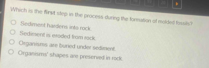 which is the first step in the process during the formation of molded fossils? sediment hardens into rock. sediment is eroded from rock. organisms are buried under sediment. organisms’ shapes are preserved in rock.