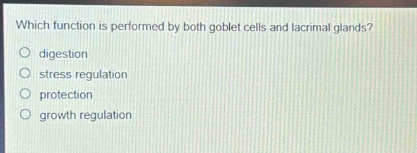 which function is performed by both goblet cells and lacrimal glands?\no digestion\no stress regulation\no protection\no growth regulation