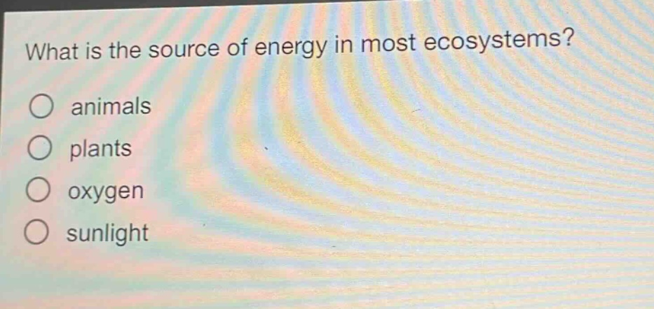 what is the source of energy in most ecosystems?\no animals\no plants\no oxygen\no sunlight