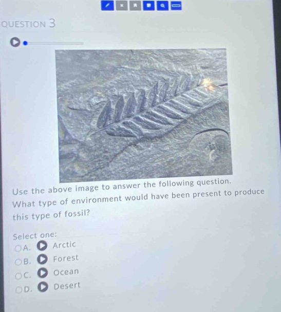 question 3 use the above image to answer the following question. what type of environment would have been present to produce this type of fossil? select one: a. arctic b. forest c. ocean d. desert