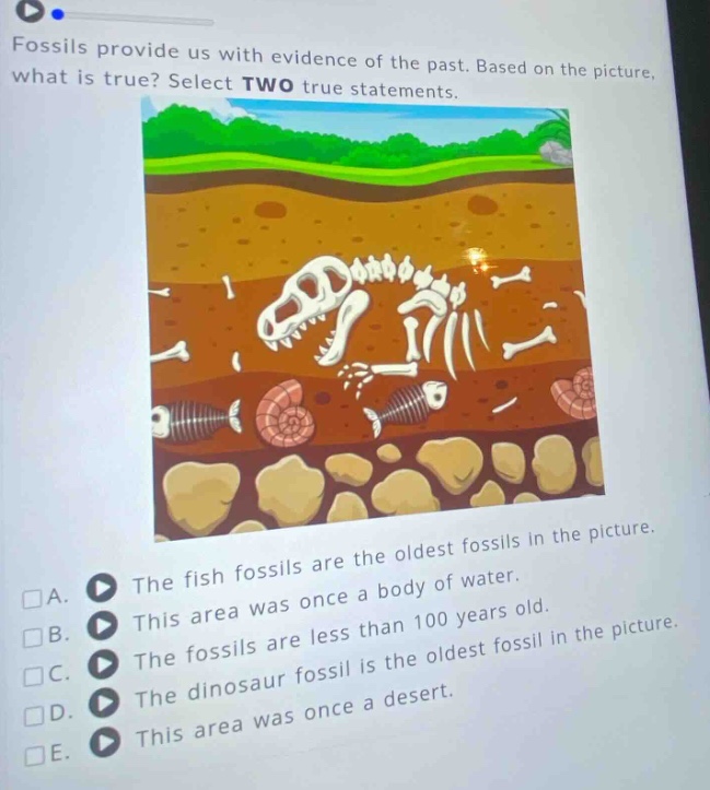 fossils provide us with evidence of the past. based on the picture, what is true? select two true statements. a. the fish fossils are the oldest fossils in the picture. b. this area was once a body of water. c. the fossils are less than 100 years old. d. the dinosaur fossil is the oldest fossil in the picture. e. this area was once a desert.