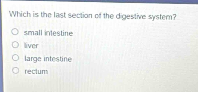 which is the last section of the digestive system?\no small intestine\no liver\no large intestine\no rectum