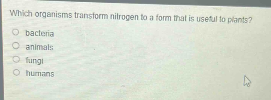 which organisms transform nitrogen to a form that is useful to plants?\no bacteria\no animals\no fungi\no humans