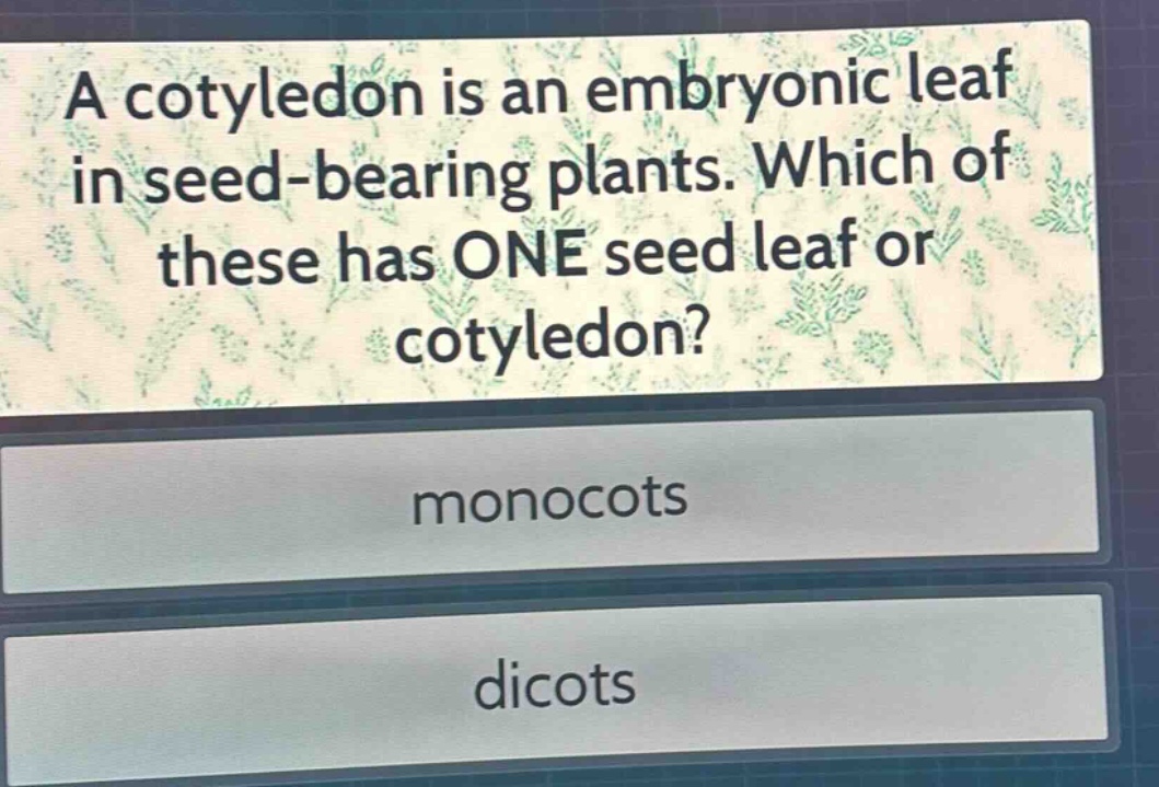 a cotyledon is an embryonic leaf in seed - bearing plants. which of these has one seed leaf or cotyledon? monocots dicots