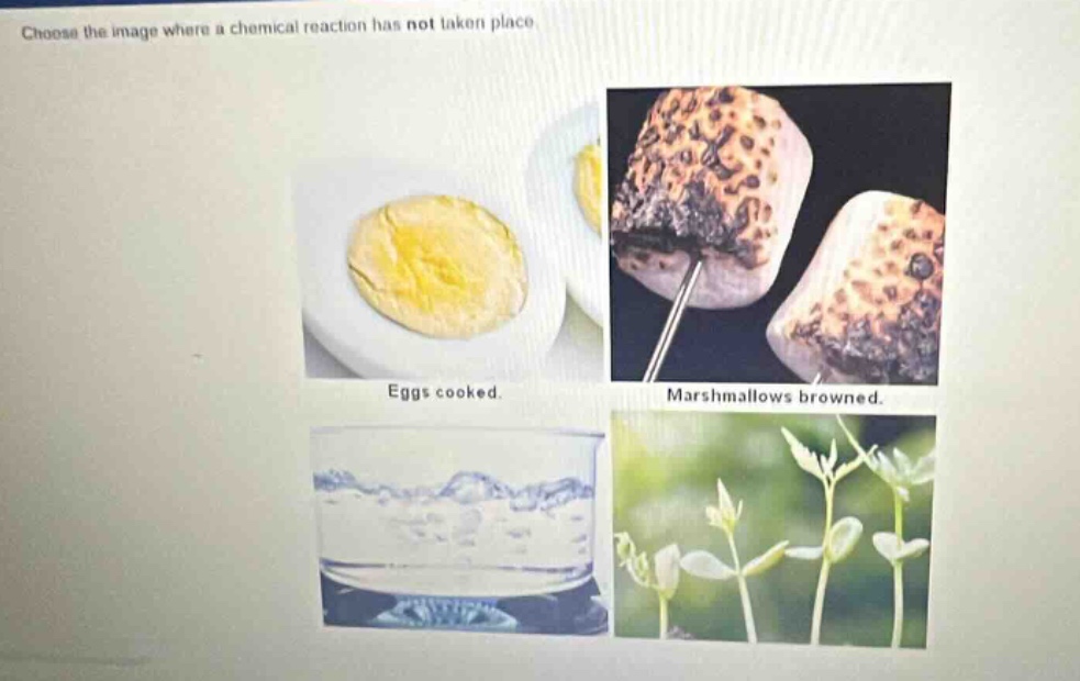 choose the image where a chemical reaction has not taken place. eggs cooked. marshmallows browned.