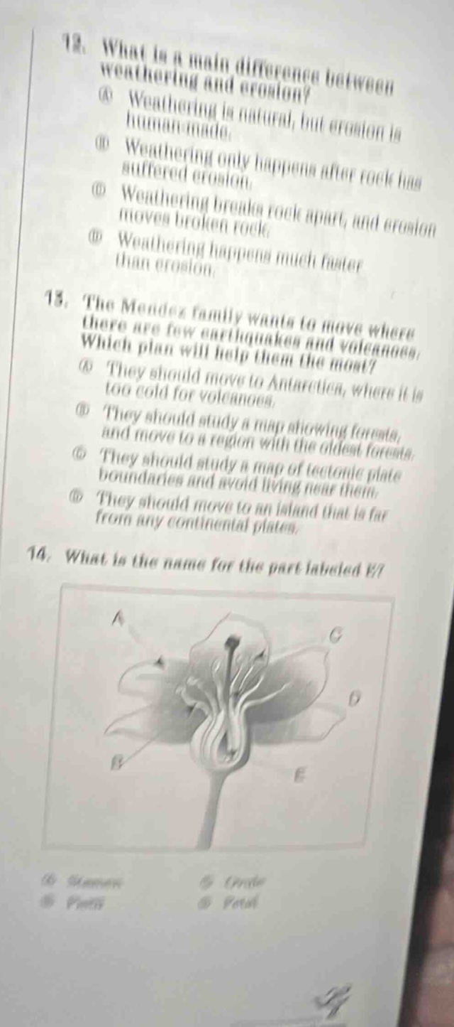 12. what is a main difference between weathering and erosion? (a) weathering is natural, but erosion is human - made. (b) weathering only happens after rock has suffered erosion. (c) weathering breaks rock apart, and erosion moves broken rock. (d) weathering happens much faster than erosion. 13. the mendez family wants to move where there are few earthquakes and volcanoes. which plan will help them the most? (a) they should move to antarctica, where it is too cold for volcanoes. (b) they should study a map showing forests, and move to a region with the oldest forests. (c) they should study a map of tectonic plate boundaries and avoid living near them. (d) they should move to an island that is far from any continental plates. 14. what is the name for the part labeled e? (a) stamen (b) style (c) pistil (d) petal