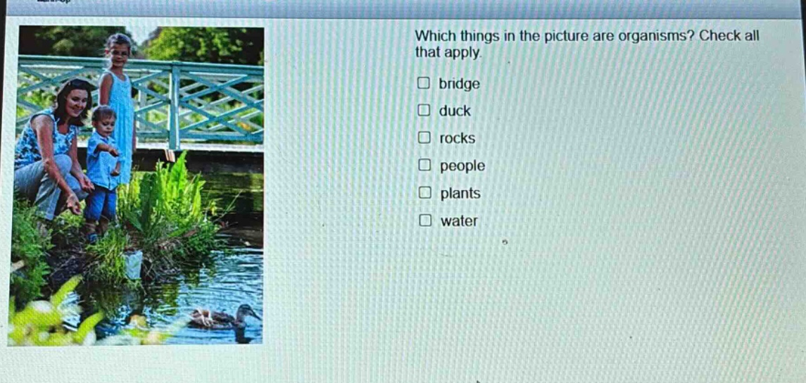 which things in the picture are organisms? check all that apply. bridge duck rocks people plants water