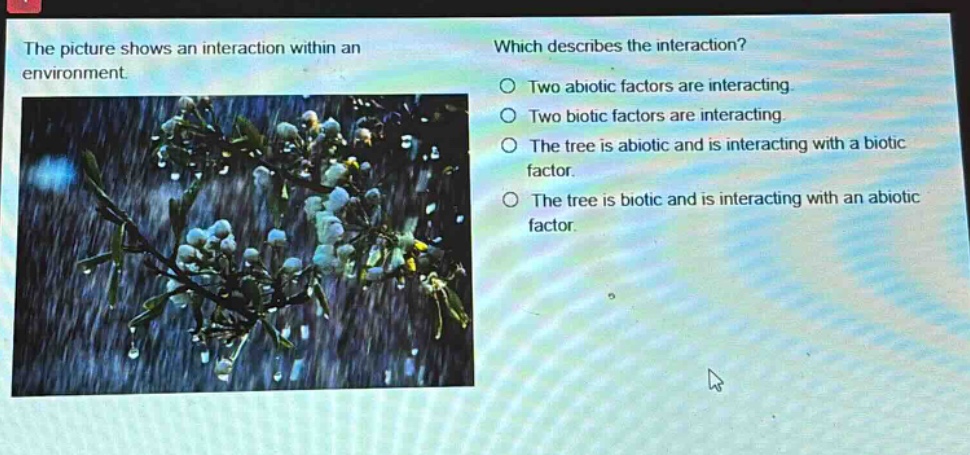 the picture shows an interaction within an environment. which describes the interaction? two abiotic factors are interacting. two biotic factors are interacting. the tree is abiotic and is interacting with a biotic factor. the tree is biotic and is interacting with an abiotic factor.