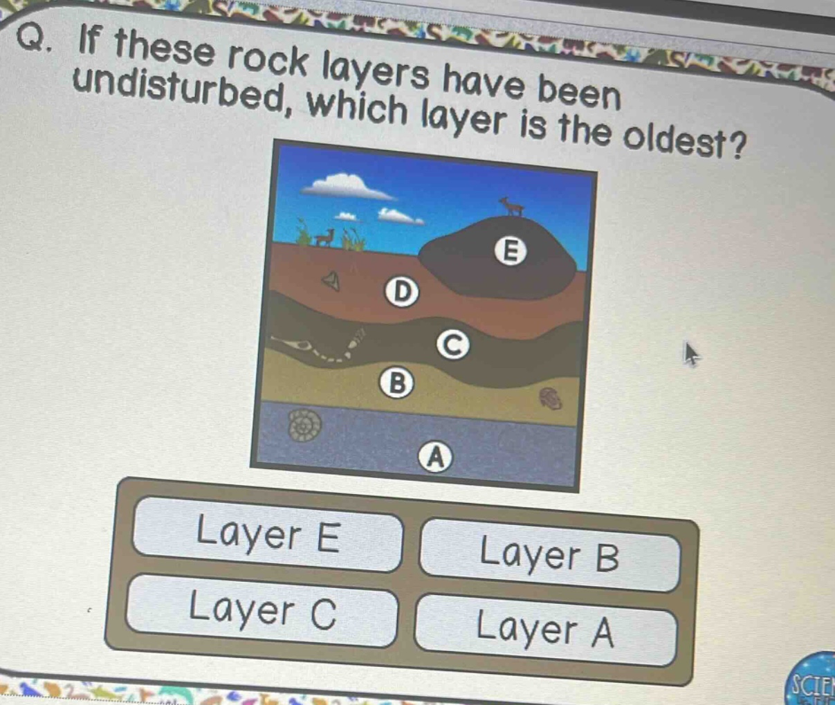 q. if these rock layers have been undisturbed, which layer is the oldest? layer e layer b layer c layer a