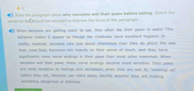 read the paragraph about why raccoons wet their paws before eating. select the sentence that should be removed to improve the focus of the paragraph. when raccoons are getting ready to eat, they often dip their paws in water. this behavior makes it appear as though the creatures have excellent hygiene. in reality, however, raccoons care less about cleanliness than they do about the way their meal feels. raccoons rely heavily on their sense of touch, and they have significantly more nerve endings in their paws than most other mammals. when raccoons wet their paws, these nerve endings become more sensitive. their paws are most receptive to feelings and sensations when they are wet. by “washing up” before they eat, raccoons can more easily identify whether they are holding something dangerous or delicious.