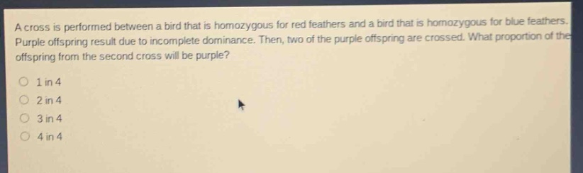 a cross is performed between a bird that is homozygous for red feathers and a bird that is homozygous for blue feathers. purple offspring result due to incomplete dominance. then, two of the purple offspring are crossed. what proportion of the offspring from the second cross will be purple?\n1 in 4\n2 in 4\n3 in 4\n4 in 4