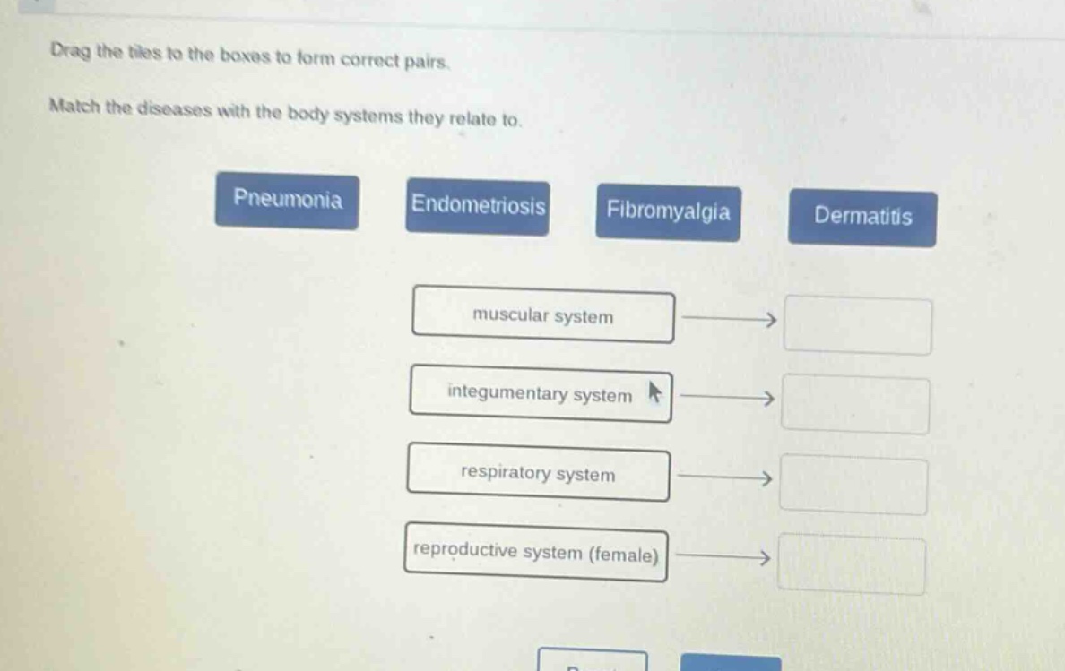 drag the tiles to the boxes to form correct pairs. match the diseases with the body systems they relate to. pneumonia endometriosis fibromyalgia dermatitis muscular system integumentary system respiratory system reproductive system (female)