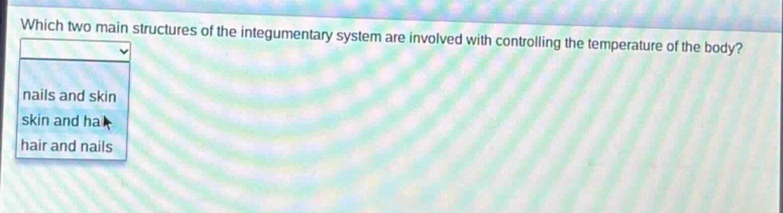 which two main structures of the integumentary system are involved with controlling the temperature of the body? nails and skin skin and hair hair and nails