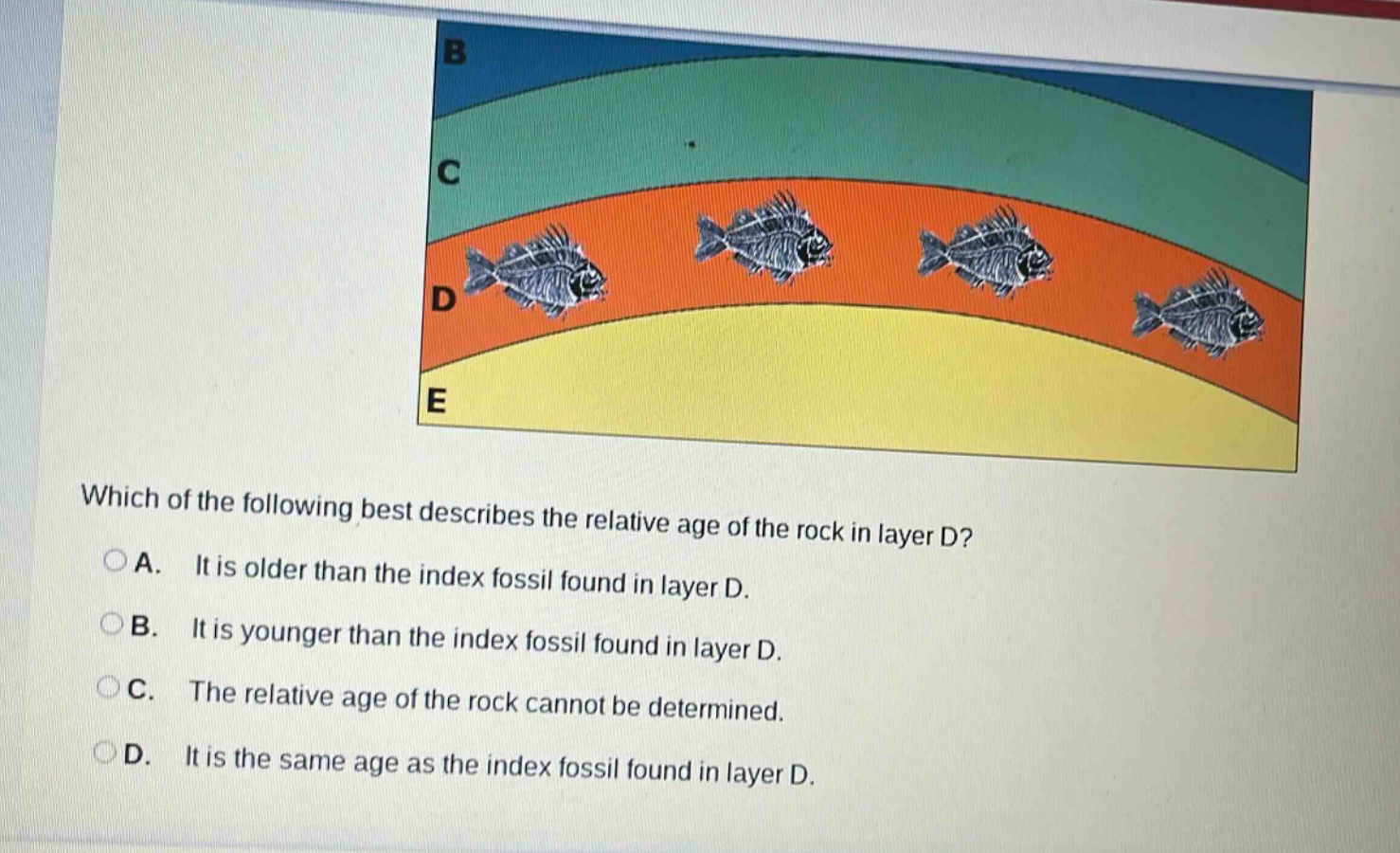 which of the following best describes the relative age of the rock in layer d?\na. it is older than the index fossil found in layer d.\nb. it is younger than the index fossil found in layer d.\nc. the relative age of the rock cannot be determined.\nd. it is the same age as the index fossil found in layer d.