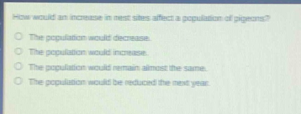 how would an increase in nest sites affect a population of pigeons?\nthe population would decrease.\nthe population would increase.\nthe population would remain almost the same.\nthe population would be reduced the next year.