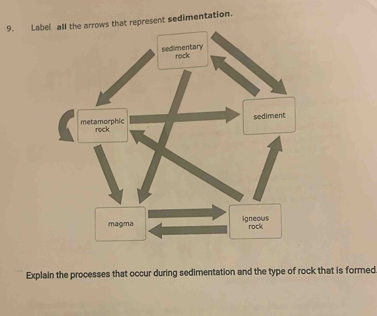9. label all the arrows that represent sedimentation. explain the processes that occur during sedimentation and the type of rock that is formed.