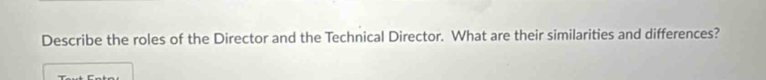 describe the roles of the director and the technical director. what are their similarities and differences?