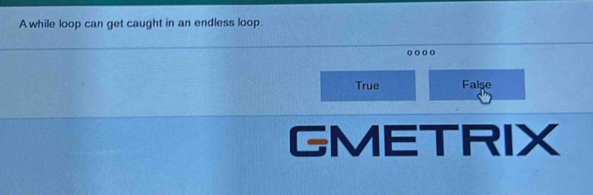 a while loop can get caught in an endless loop. true false