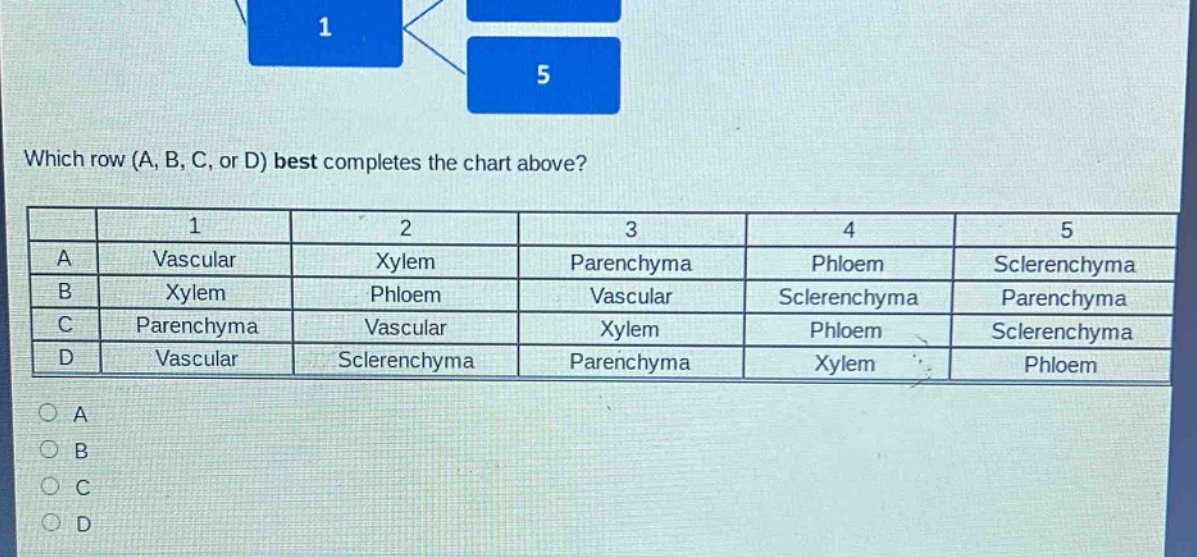 which row (a, b, c, or d) best completes the chart above?\n| | 1 | 2 | 3 | 4 | 5 |\n| a | vascular | xylem | parenchyma | phloem | sclerenchyma |\n| b | xylem | phloem | vascular | sclerenchyma | parenchyma |\n| c | parenchyma | vascular | xylem | phloem | sclerenchyma |\n| d | vascular | sclerenchyma | parenchyma | xylem | phloem |\no a\no b\no c\no d