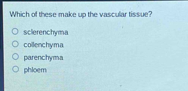 which of these make up the vascular tissue?\no sclerenchyma\no collenchyma\no parenchyma\no phloem