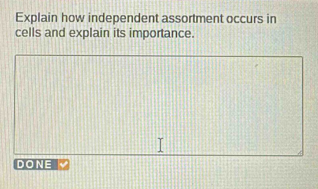 explain how independent assortment occurs in cells and explain its importance.