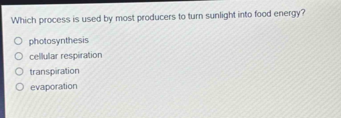 which process is used by most producers to turn sunlight into food energy?\nphotosynthesis\ncellular respiration\ntranspiration\nevaporation