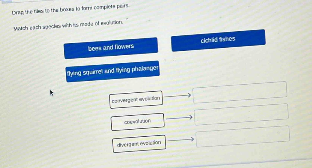 drag the tiles to the boxes to form complete pairs. match each species with its mode of evolution. bees and flowers cichlid fishes flying squirrel and flying phalanger convergent evolution coevolution divergent evolution