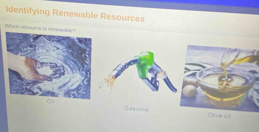 identifying renewable resources\nwhich resource is renewable?\noil\ngasoline\nolive oil