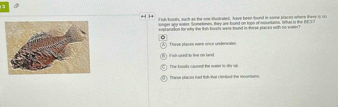 fish fossils, such as the one illustrated, have been found in some places where there is no longer any water. sometimes, they are found on tops of mountains. what is the best explanation for why the fish fossils were found in these places with no water? a these places were once underwater. b fish used to live on land. c the fossils caused the water to dry up. d these places had fish that climbed the mountains.