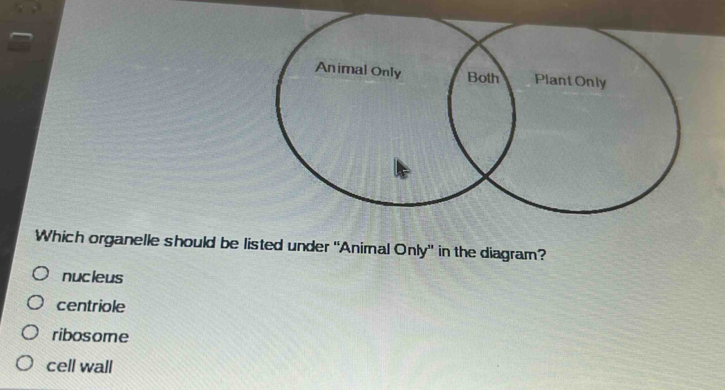 which organelle should be listed under \animal only\ in the diagram?\no nucleus\no centriole\no ribosome\no cell wall