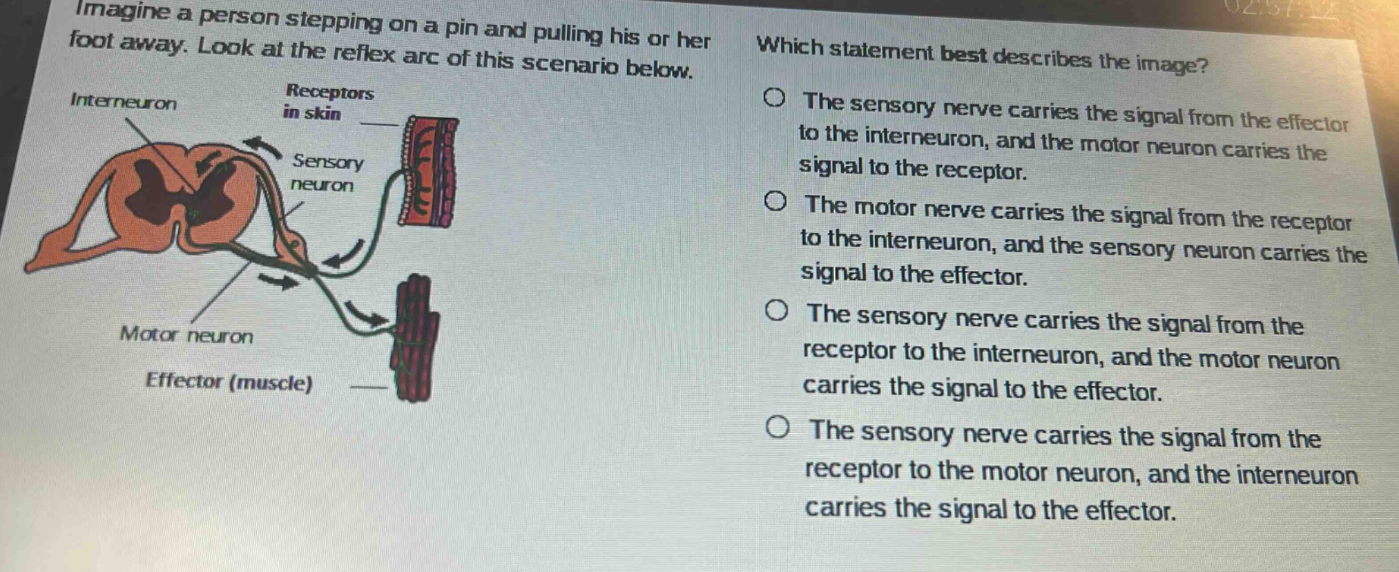imagine a person stepping on a pin and pulling his or her foot away. look at the reflex arc of this scenario below. which statement best describes the image? the sensory nerve carries the signal from the effector to the interneuron, and the motor neuron carries the signal to the receptor. the motor nerve carries the signal from the receptor to the interneuron, and the sensory neuron carries the signal to the effector. the sensory nerve carries the signal from the receptor to the interneuron, and the motor neuron carries the signal to the effector. the sensory nerve carries the signal from the receptor to the motor neuron, and the interneuron carries the signal to the effector.